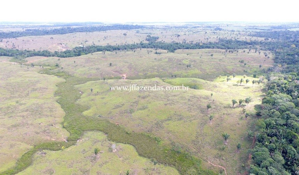 Fazenda no Jaru – RO (1100 alqueires) – 2662 hectares