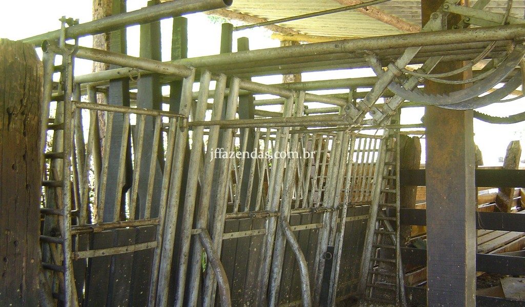 Fazenda em Santa Rita do Jacutinga – MG – 411 hectares Fazenda em Santa Rita do Jacutinga – MG – 411 hectares