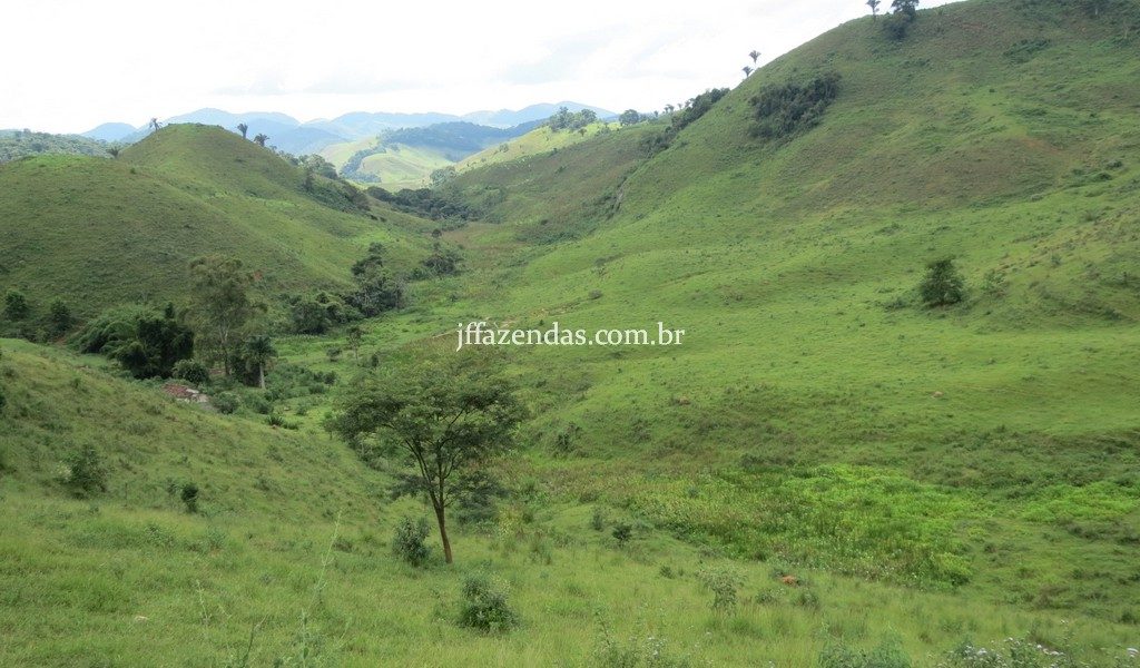 Fazenda em Juiz de Fora – MG – 114 hectares Fazenda em Juiz de Fora – MG – 114 hectares