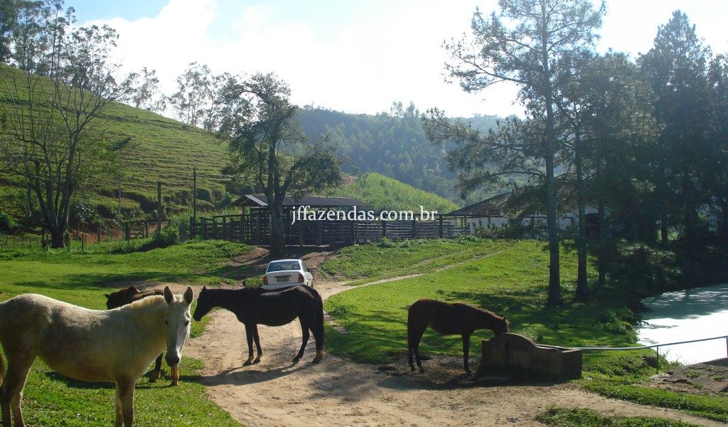 Fazenda em Rio Preto – MG – 240 hectares Fazenda em Rio Preto – MG – 240 hectares