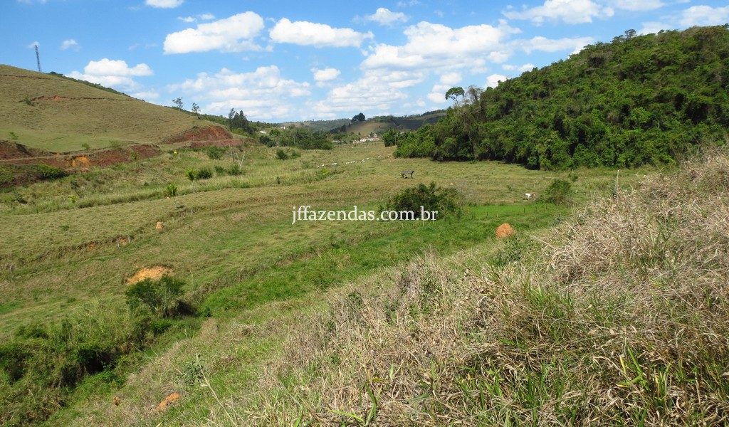 Fazenda em Belmiro Braga – MG – 117 hectares Fazenda em Belmiro Braga – MG – 117 hectares