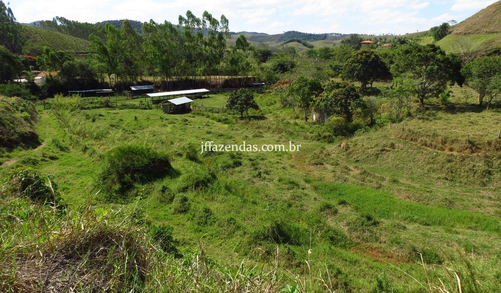 Fazenda em Belmiro Braga – MG – 117 hectares Fazenda em Belmiro Braga – MG – 117 hectares
