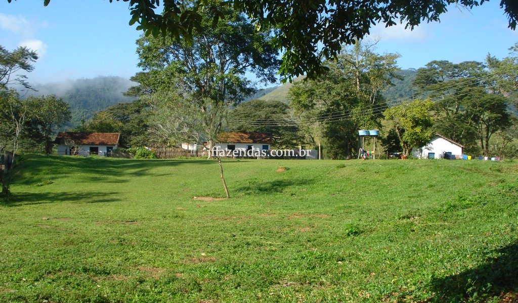 Fazenda em Rio Preto – MG – 240 hectares Fazenda em Rio Preto – MG – 240 hectares