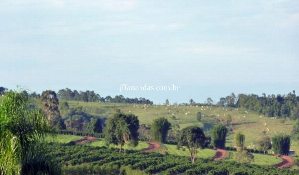 Fazenda de luxo em Avaré/SP – 216 hectares Fazenda de luxo em Avaré/SP – 216 hectares