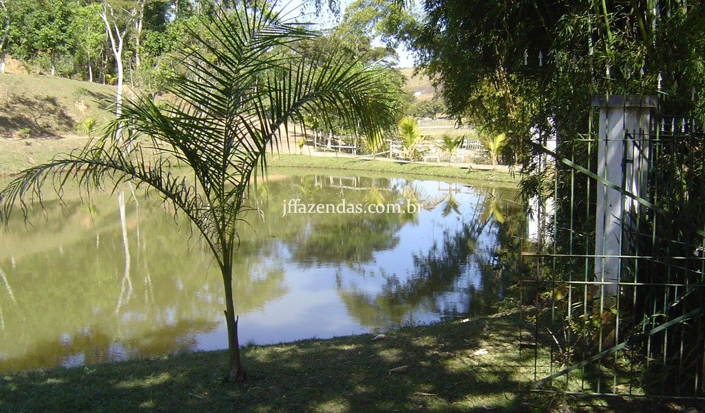 Sítio de alto padrão em Juiz de Fora/MG – 4 hectares Sítio de alto padrão em Juiz de Fora/MG – 4 hectares