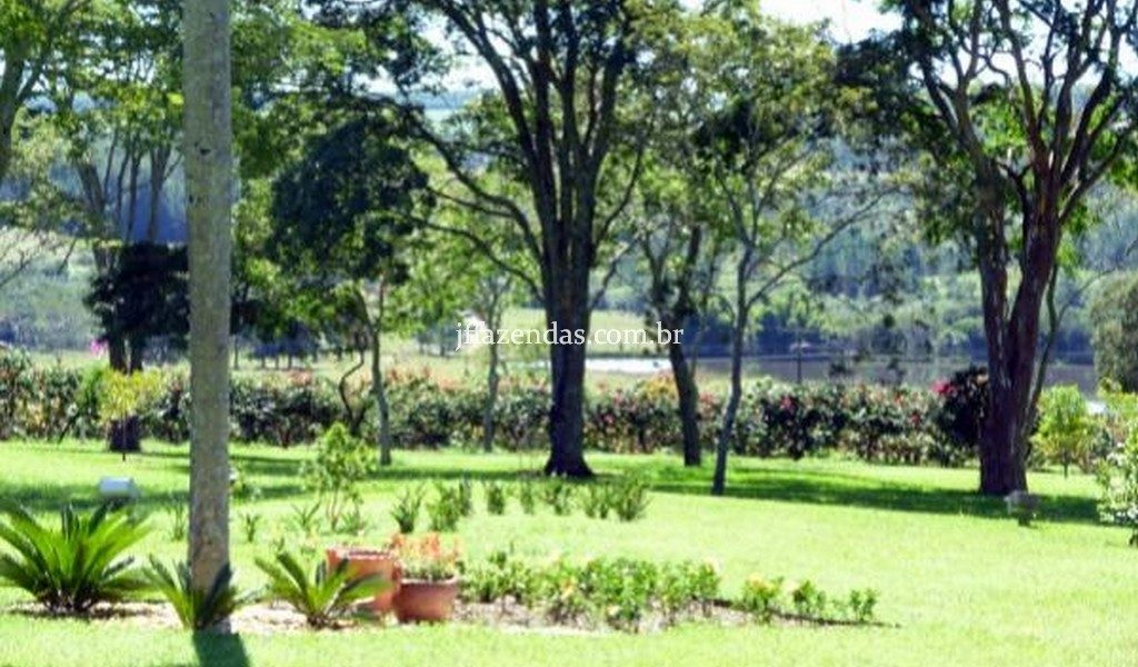 Fazenda de luxo em Avaré/SP – 216 hectares Fazenda de luxo em Avaré/SP – 216 hectares