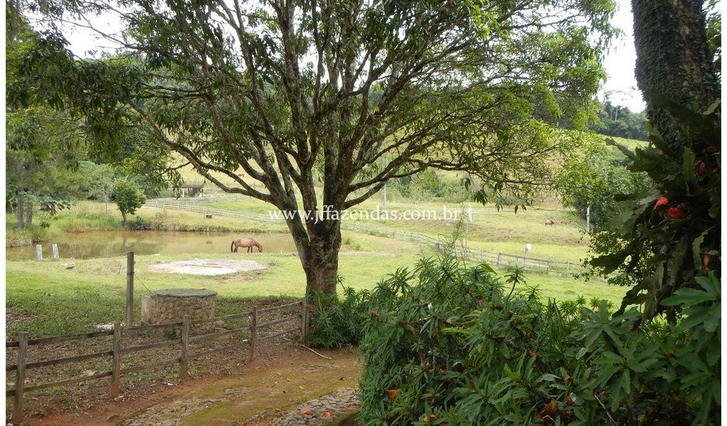 Fazenda – 180 hectares – Lima Duarte – MG Fazenda – 180 hectares – Lima Duarte – MG