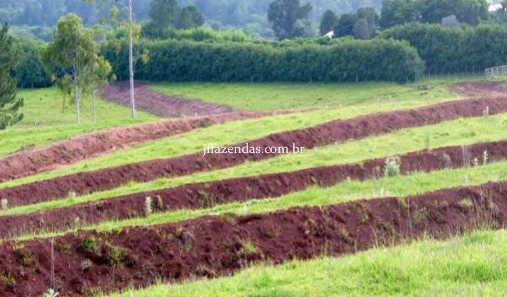Fazenda de luxo em Avaré/SP – 216 hectares Fazenda de luxo em Avaré/SP – 216 hectares