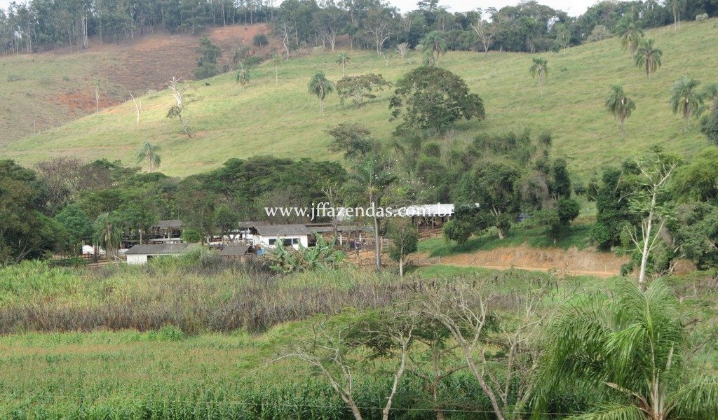 Fazenda produtora de leite – 315,5078 hectares – Guarani – MG Fazenda produtora de leite – 315,5078 hectares – Guarani – MG