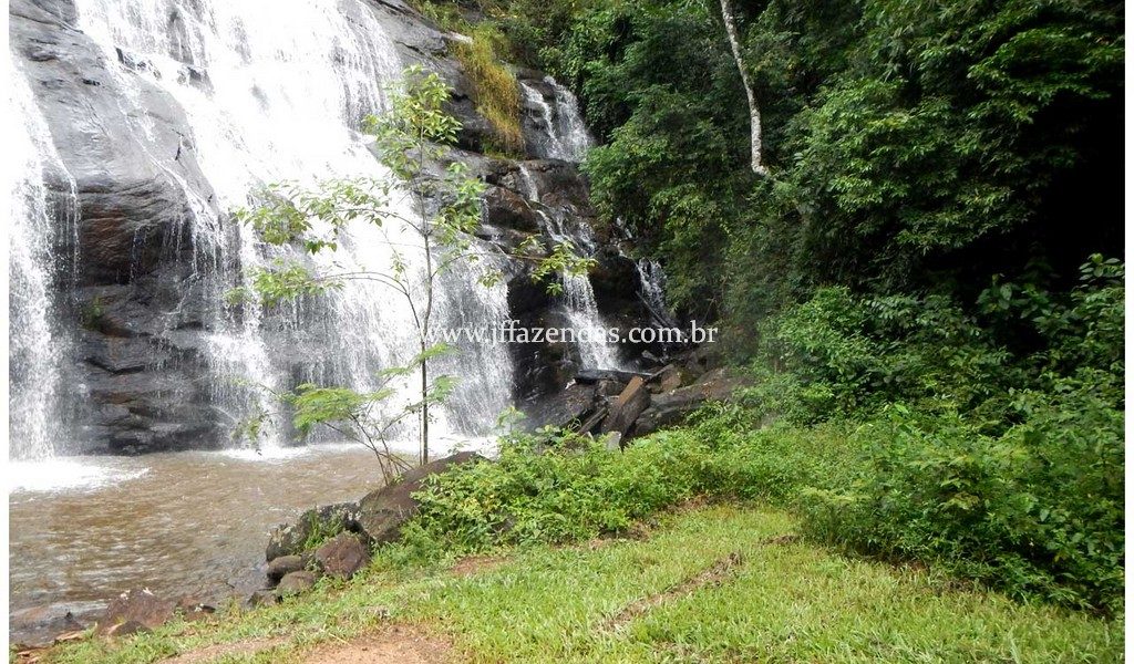 Fazenda – 180 hectares – Lima Duarte – MG Fazenda – 180 hectares – Lima Duarte – MG