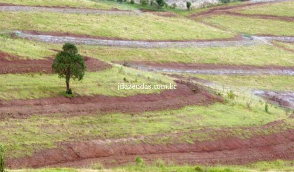 Fazenda de luxo em Avaré/SP – 216 hectares Fazenda de luxo em Avaré/SP – 216 hectares