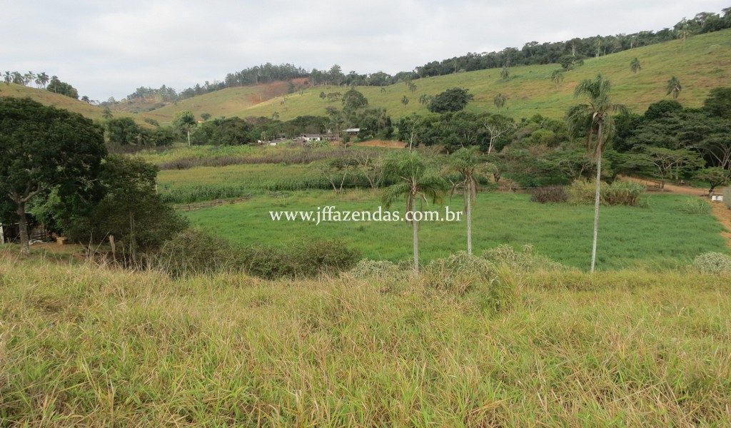 Fazenda produtora de leite – 315,5078 hectares – Guarani – MG Fazenda produtora de leite – 315,5078 hectares – Guarani – MG