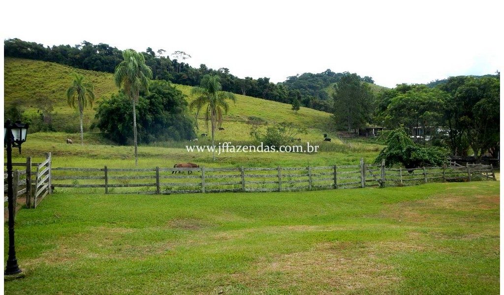 Fazenda – 180 hectares – Lima Duarte – MG Fazenda – 180 hectares – Lima Duarte – MG