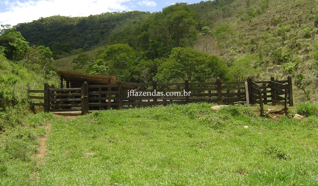 Fazenda em Santa Rita do Jacutinga – MG – 411 hectares Fazenda em Santa Rita do Jacutinga – MG – 411 hectares