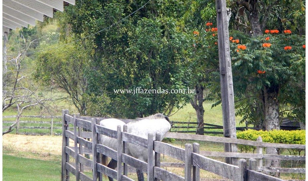 Fazenda – 180 hectares – Lima Duarte – MG Fazenda – 180 hectares – Lima Duarte – MG