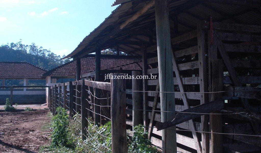 Fazenda em Rio Preto – MG – 240 hectares Fazenda em Rio Preto – MG – 240 hectares