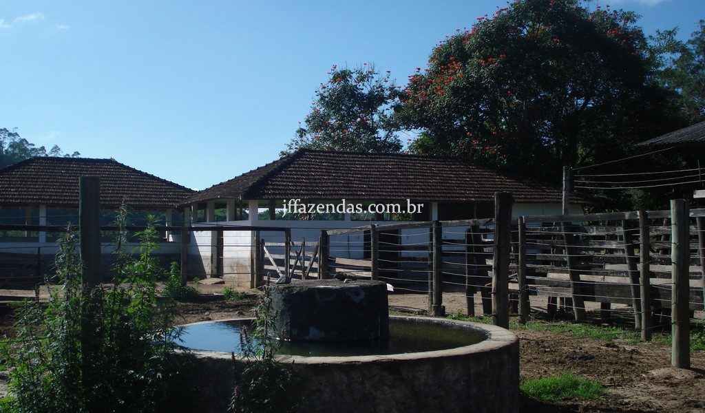 Fazenda em Rio Preto – MG – 240 hectares Fazenda em Rio Preto – MG – 240 hectares