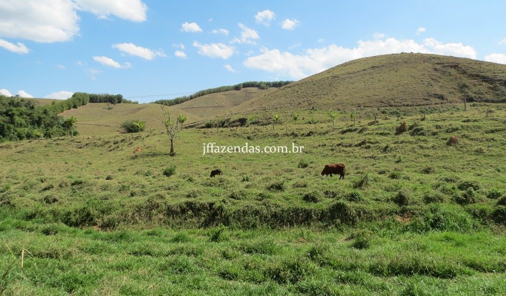 Fazenda em Belmiro Braga – MG – 117 hectares Fazenda em Belmiro Braga – MG – 117 hectares