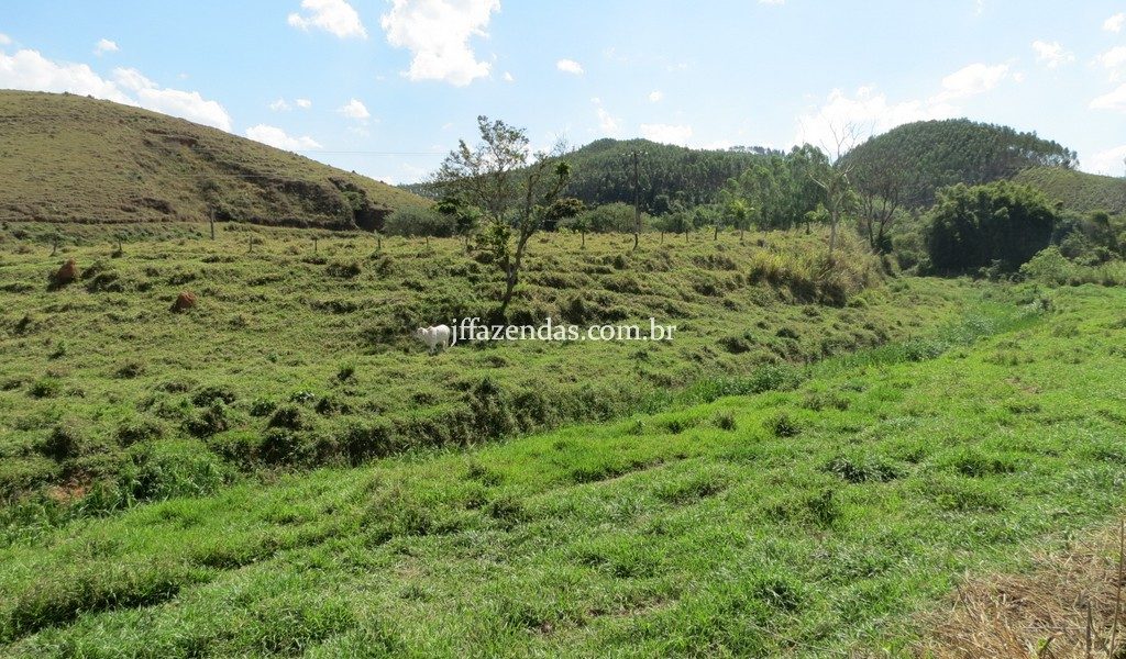 Fazenda em Belmiro Braga – MG – 117 hectares Fazenda em Belmiro Braga – MG – 117 hectares