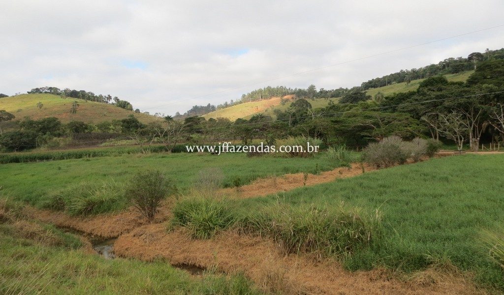 Fazenda produtora de leite – 315,5078 hectares – Guarani – MG Fazenda produtora de leite – 315,5078 hectares – Guarani – MG