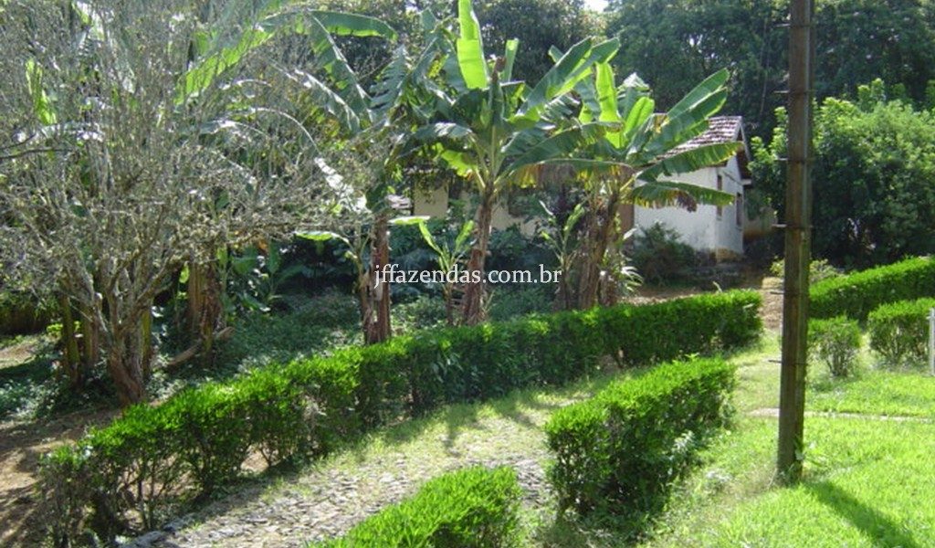 Sítio em Juiz de Fora/MG – 30 hectares Sítio em Juiz de Fora/MG – 30 hectares