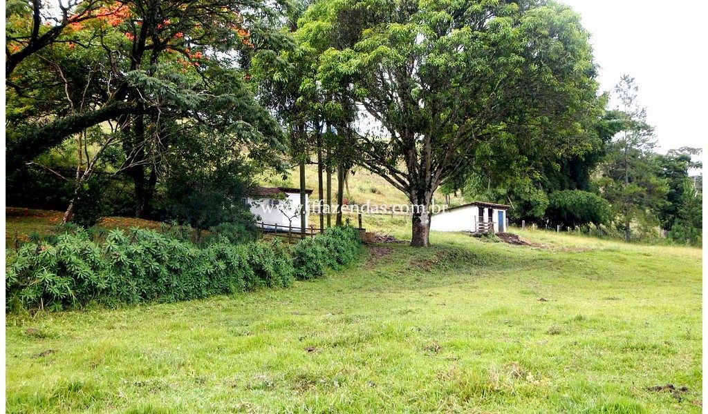 Fazenda – 180 hectares – Lima Duarte – MG Fazenda – 180 hectares – Lima Duarte – MG