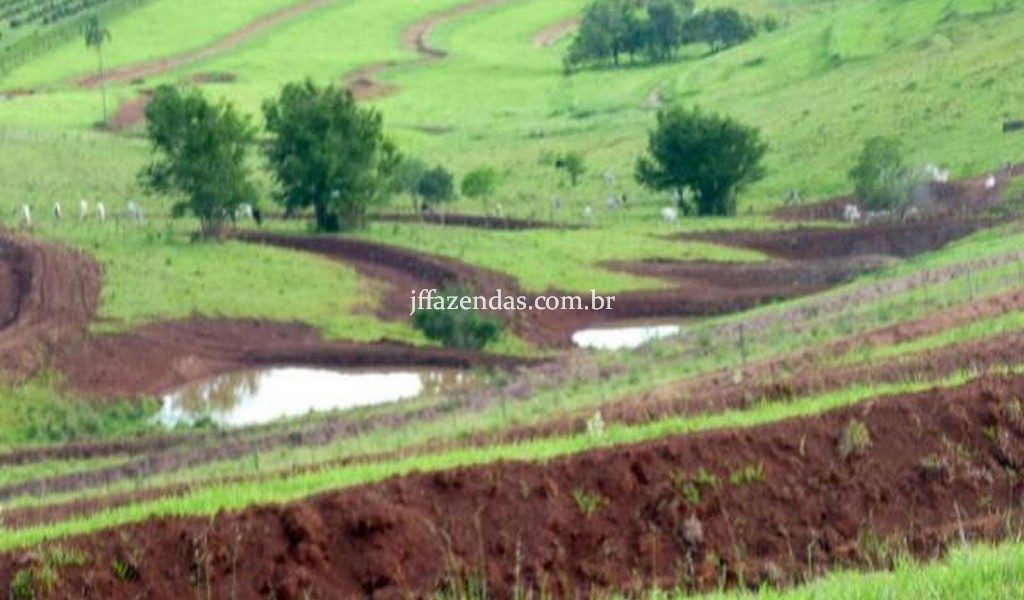 Fazenda de luxo em Avaré/SP – 216 hectares Fazenda de luxo em Avaré/SP – 216 hectares