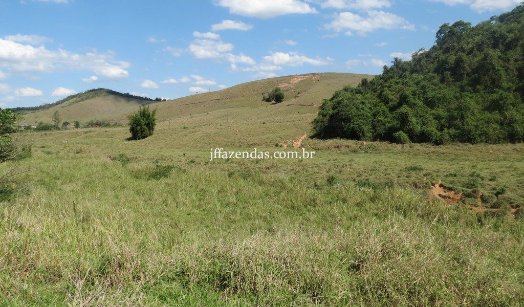 Fazenda em Belmiro Braga – MG – 117 hectares Fazenda em Belmiro Braga – MG – 117 hectares