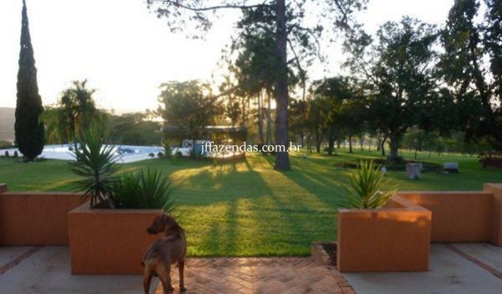 Fazenda de luxo em Avaré/SP – 216 hectares Fazenda de luxo em Avaré/SP – 216 hectares
