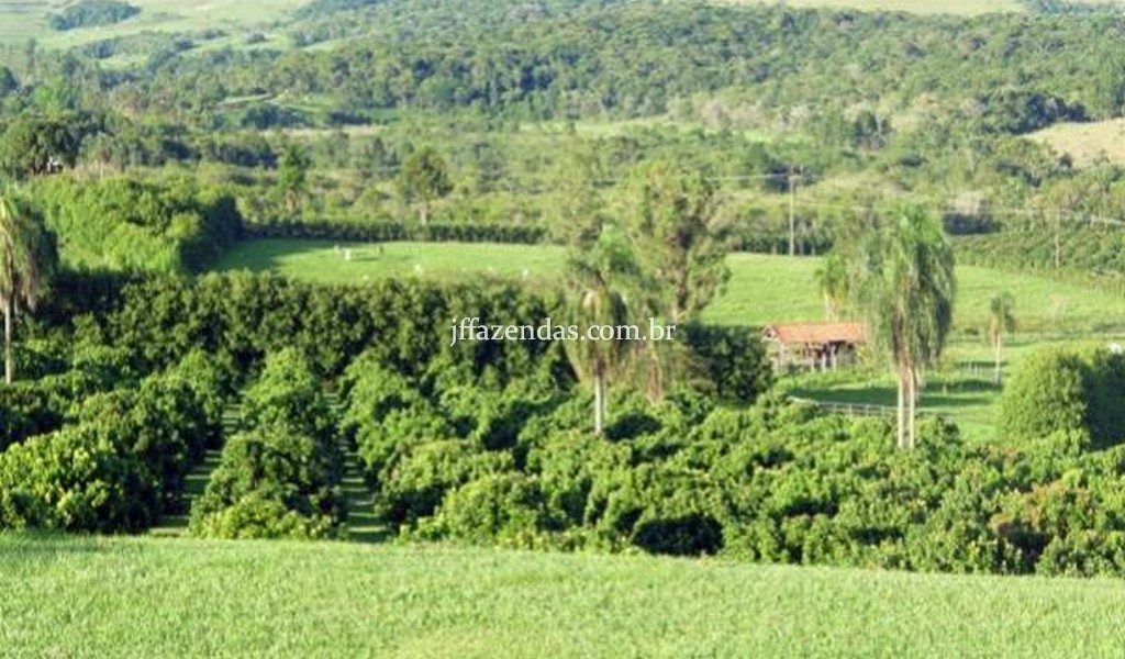 Fazenda de luxo em Avaré/SP – 216 hectares Fazenda de luxo em Avaré/SP – 216 hectares