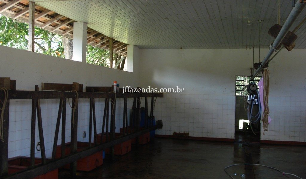 Fazenda em Rio Preto – MG – 240 hectares Fazenda em Rio Preto – MG – 240 hectares