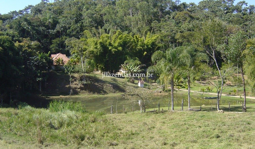 Sítio de alto padrão em Juiz de Fora/MG – 4 hectares Sítio de alto padrão em Juiz de Fora/MG – 4 hectares
