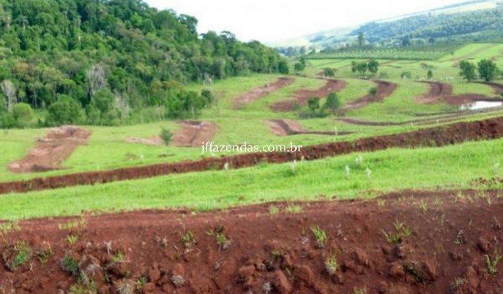 Fazenda de luxo em Avaré/SP – 216 hectares Fazenda de luxo em Avaré/SP – 216 hectares