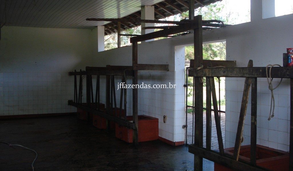 Fazenda em Rio Preto – MG – 240 hectares Fazenda em Rio Preto – MG – 240 hectares