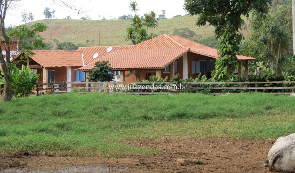 Fazenda produtora de leite – 315,5078 hectares – Guarani – MG Fazenda produtora de leite – 315,5078 hectares – Guarani – MG