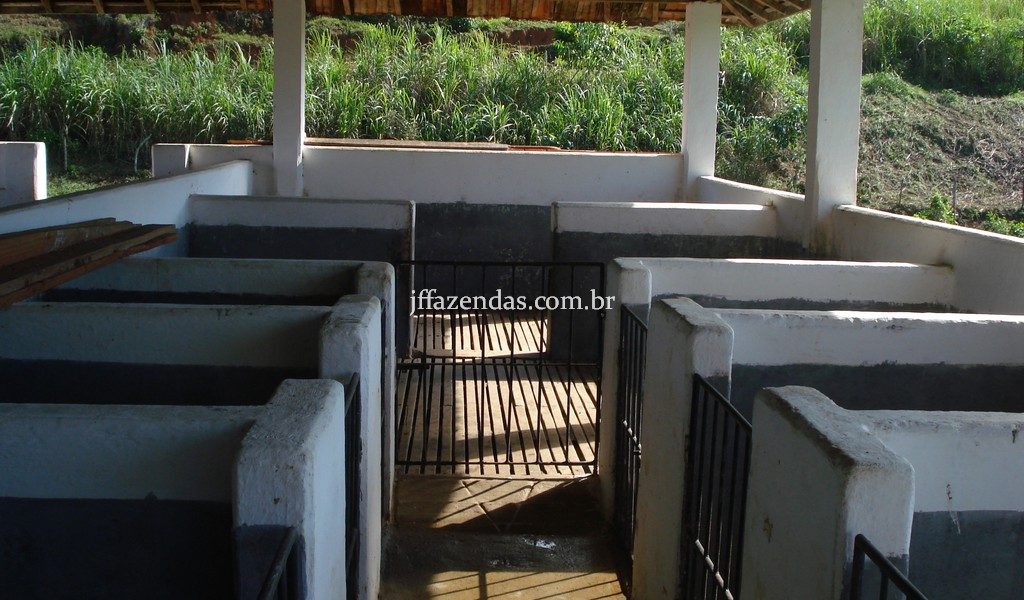 Fazenda em Rio Preto – MG – 240 hectares Fazenda em Rio Preto – MG – 240 hectares