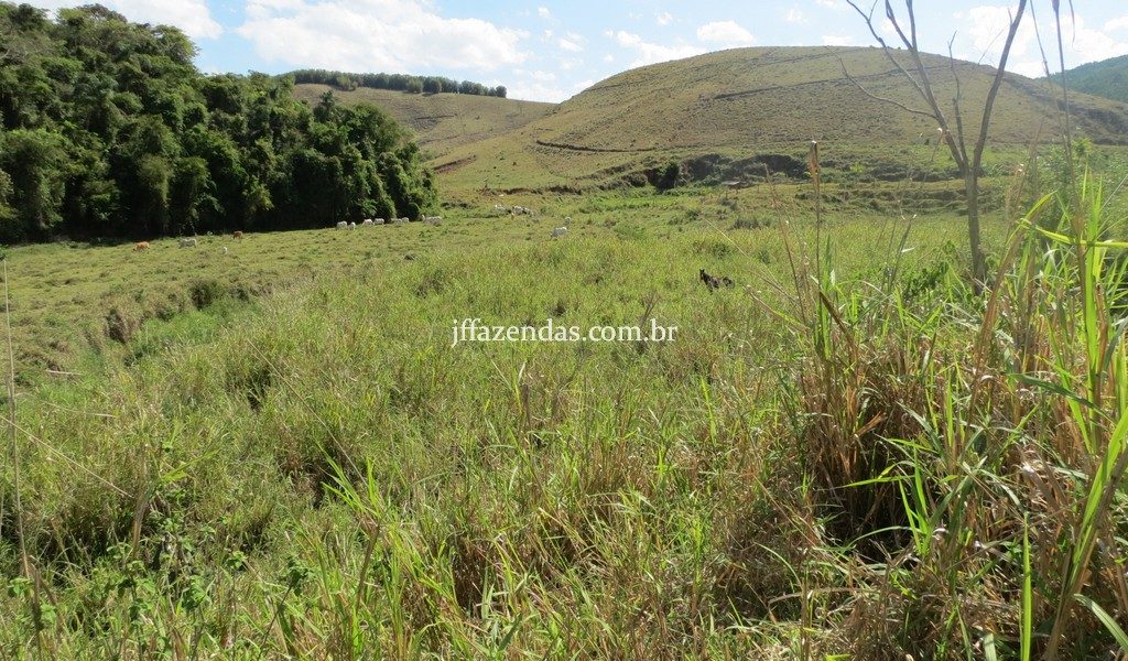 Fazenda em Belmiro Braga – MG – 117 hectares Fazenda em Belmiro Braga – MG – 117 hectares
