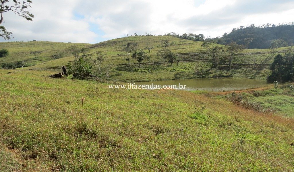 Fazenda produtora de leite – 315,5078 hectares – Guarani – MG Fazenda produtora de leite – 315,5078 hectares – Guarani – MG