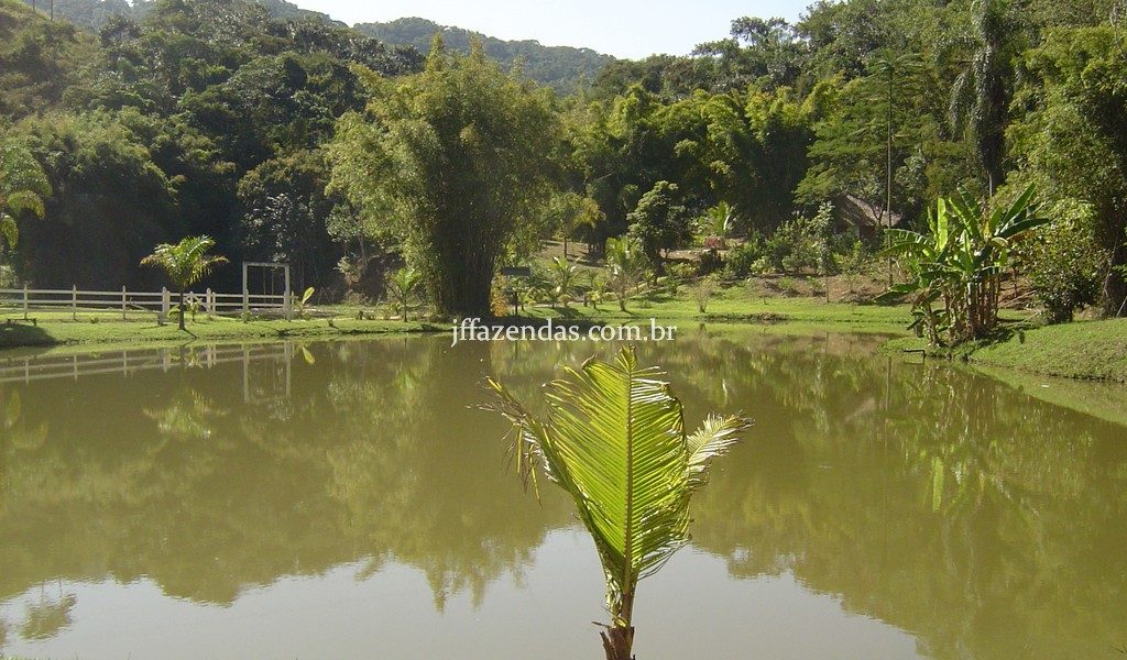 Sítio de alto padrão em Juiz de Fora/MG – 4 hectares Sítio de alto padrão em Juiz de Fora/MG – 4 hectares