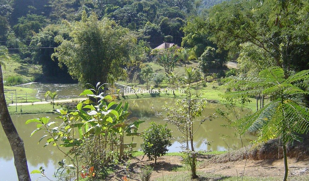 Sítio de alto padrão em Juiz de Fora/MG – 4 hectares Sítio de alto padrão em Juiz de Fora/MG – 4 hectares