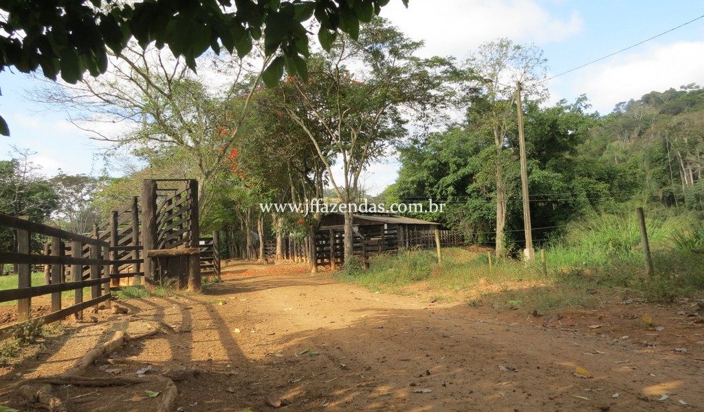 Fazenda produtora de leite – 315,5078 hectares – Guarani – MG Fazenda produtora de leite – 315,5078 hectares – Guarani – MG