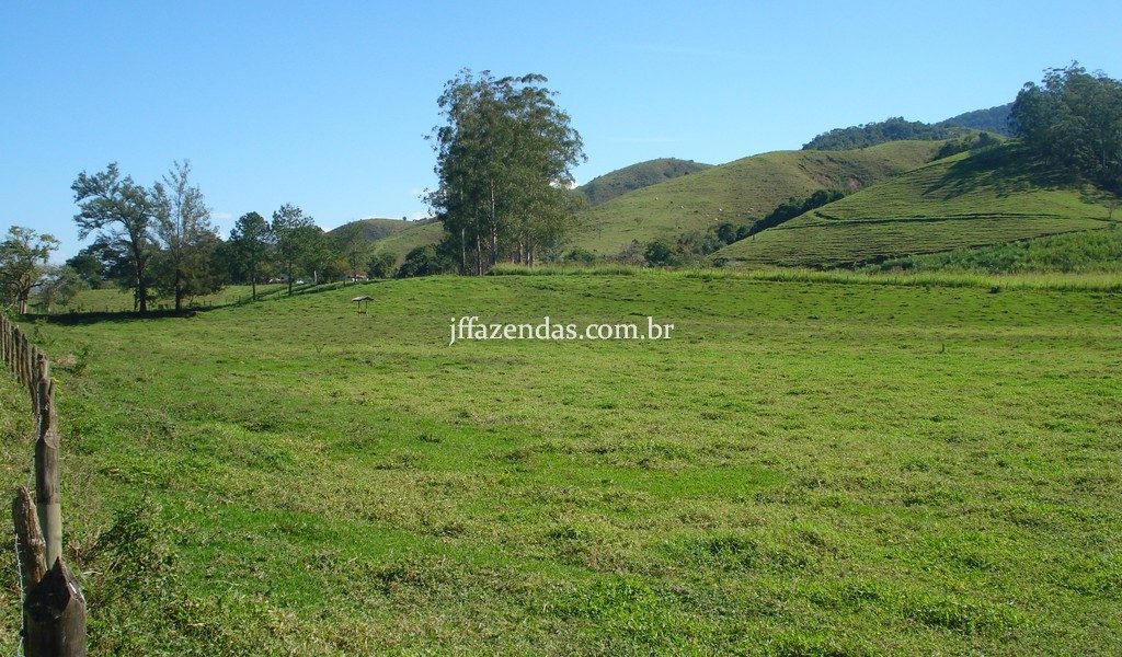 Fazenda em Rio Preto – MG – 240 hectares Fazenda em Rio Preto – MG – 240 hectares