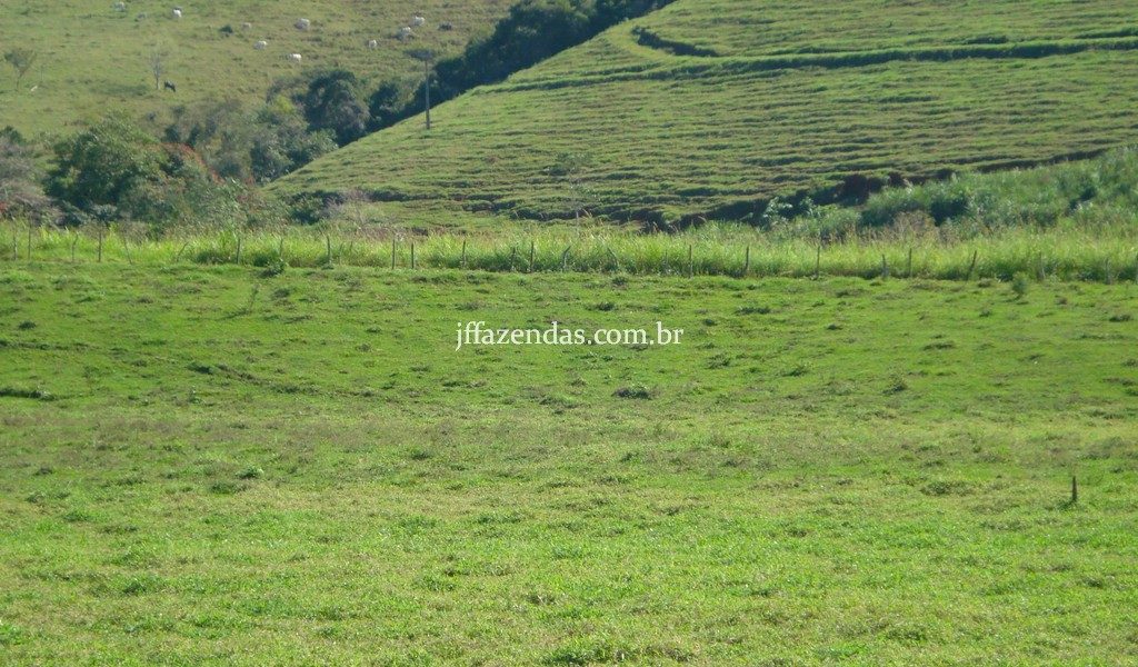 Fazenda em Rio Preto – MG – 240 hectares Fazenda em Rio Preto – MG – 240 hectares
