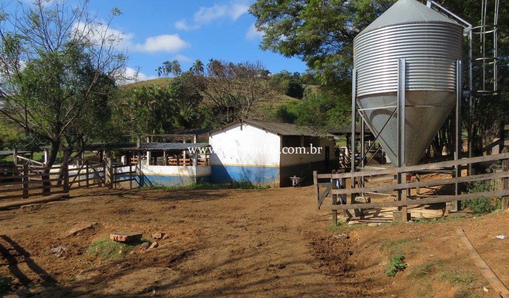 Fazenda produtora de leite – 315,5078 hectares – Guarani – MG Fazenda produtora de leite – 315,5078 hectares – Guarani – MG