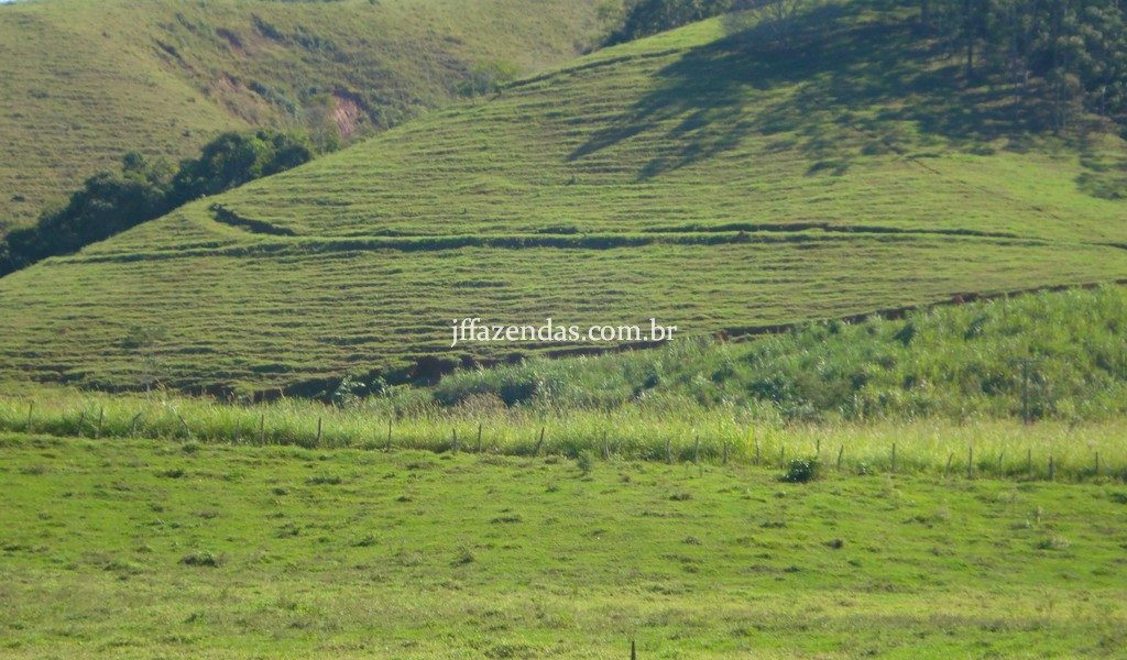 Fazenda em Rio Preto – MG – 240 hectares Fazenda em Rio Preto – MG – 240 hectares
