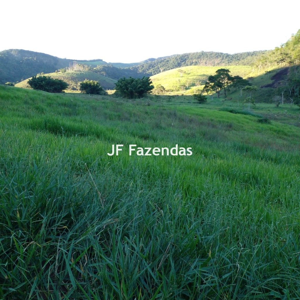 Fazenda em Juiz de Fora/MG – 224,0751 hectares