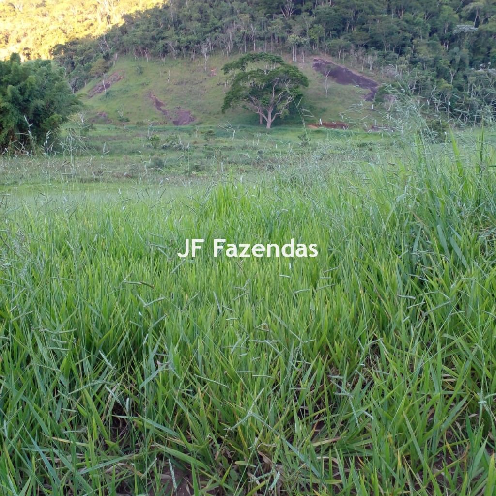 Fazenda em Juiz de Fora/MG – 224,0751 hectares