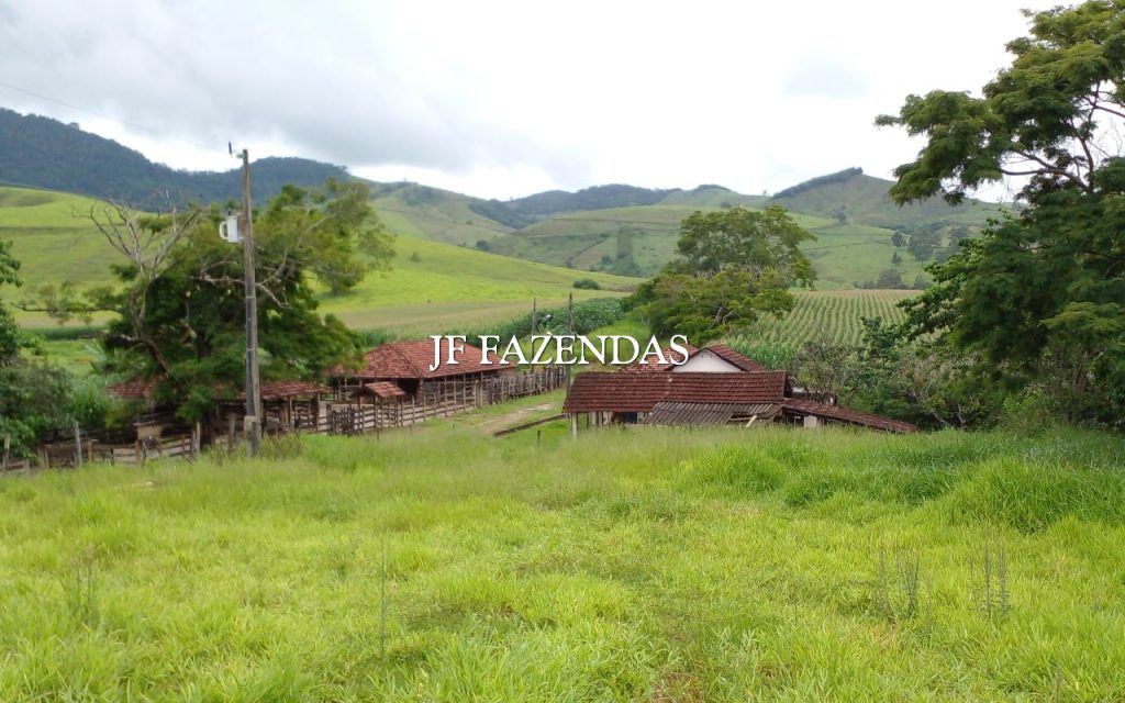 Fazenda em Rochedo de Minas – MG – 121 hectares Fazenda em Rochedo de Minas – MG – 121 hectares