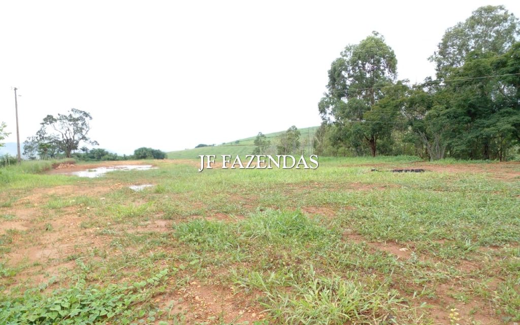 Fazenda em Rochedo de Minas – MG – 121 hectares Fazenda em Rochedo de Minas – MG – 121 hectares