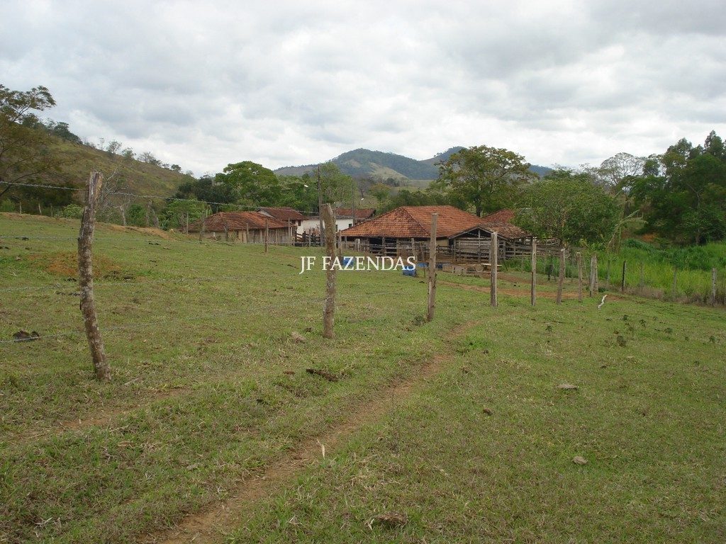 Fazenda em Rochedo de Minas – MG – 121 hectares